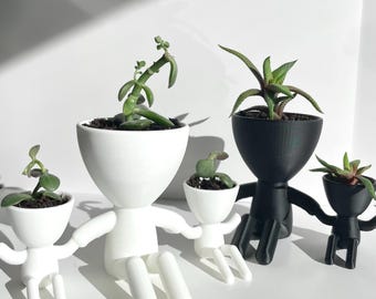 Maceta familiar personalizada para suculentas: regalo personalizado para el Día de la Madre
