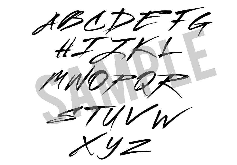 Racing Font Brush Stroke TTF, SVG for Racing Logo, Shirt Design Script ...