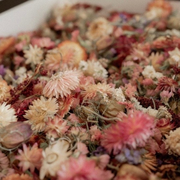 Dried Flower Confetti Etsy