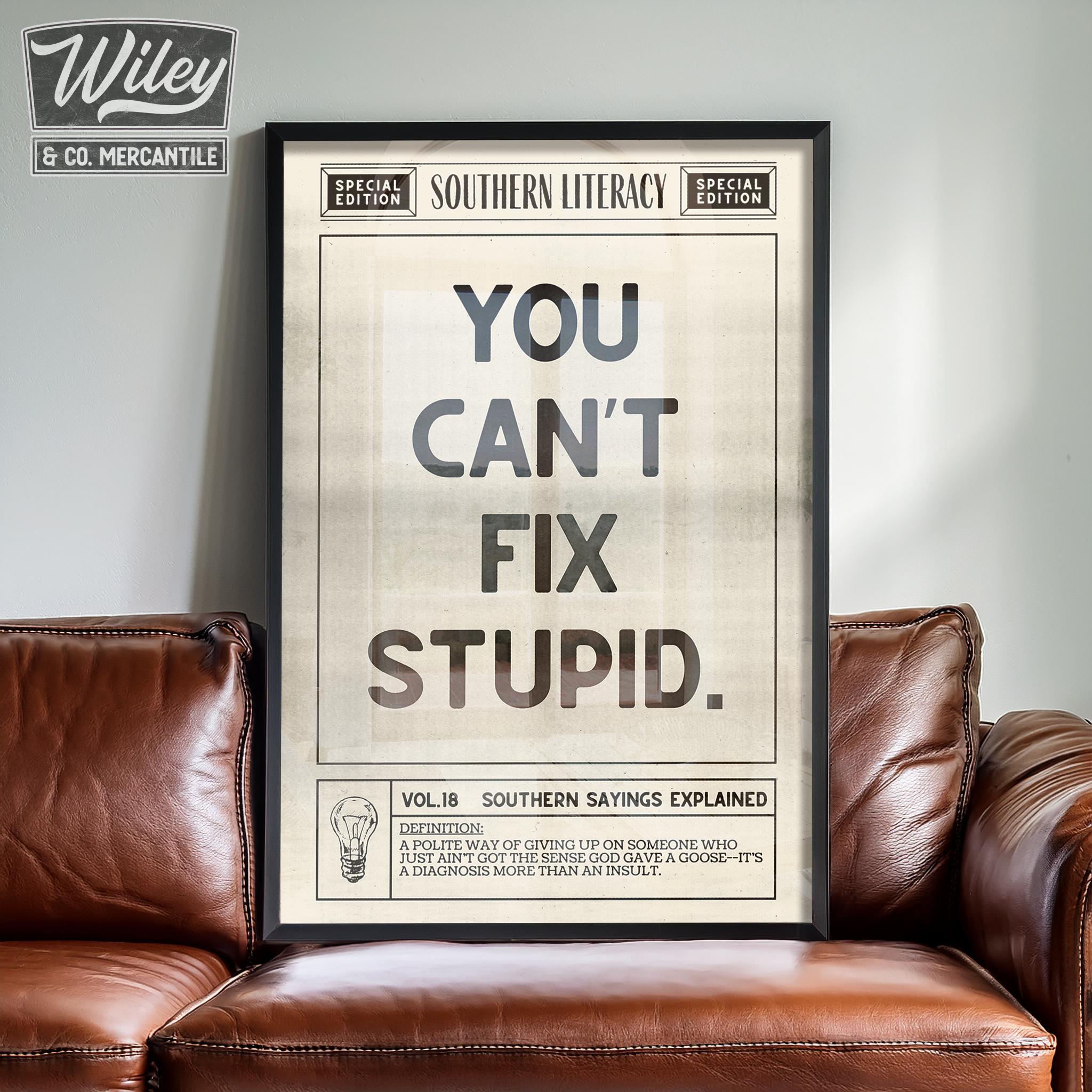 【中古】 You Can’t Fix Stupid RonWhite 中古】 You Can't Fix Stupid RonWhite RON WHITE YOU CAN'T FIX