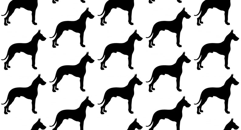 Great Dane Digital Paper Great Dane Png Printable Great - Etsy