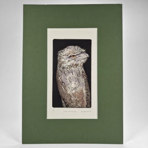 Op de afbeelding: Een ingelijste prent met een gedetailleerde illustratie van een kikvorsbek. De vogel heeft gevlekt grijs en bruin verenkleed, een grote snavel en oranje ogen. De prent is geplaatst tegen een zwarte achtergrond, met een witte rand en een groene passe-partout.