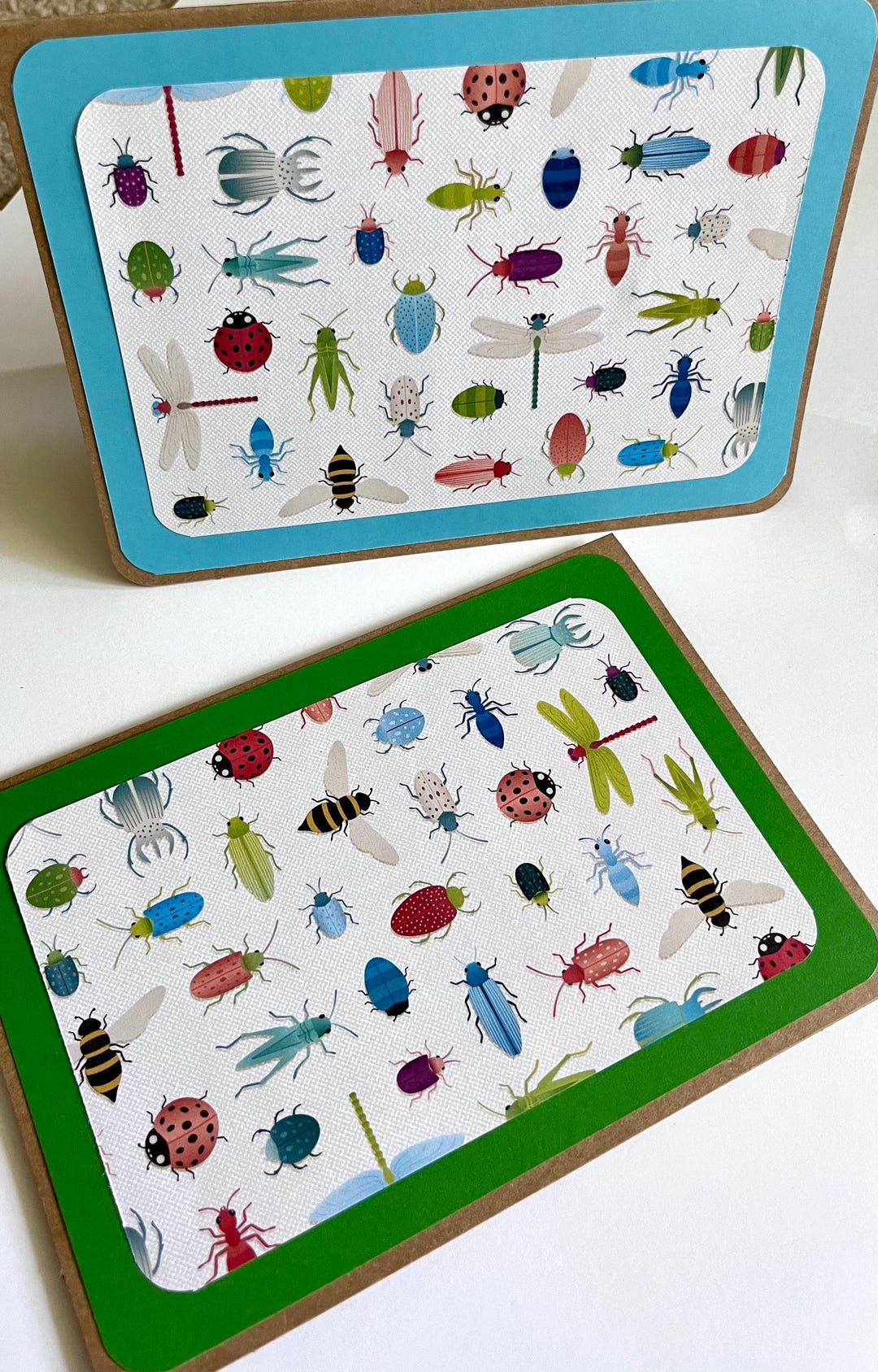 Bug Notecards: Insect Cards, Set of 8 - Etsy
