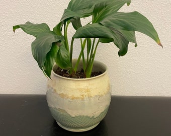 Medium ceramic planter