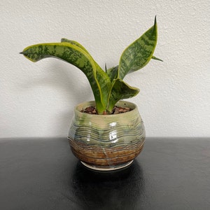 Small ceramic planter