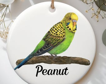 Personalized Green Parakeet Ornament, Yellow Budgie Gift, Custom Name Ceramic Ornament, Unique Bird Lover Gift