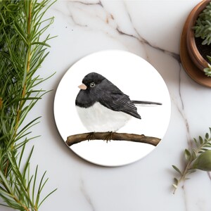 May include: A black and white bird with a white chest and black head and back perched on a brown branch. The bird is painted in a watercolor style on a white background.