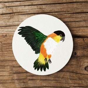 May include: A white round coaster with a hand-painted illustration of a parrot with green, black, orange, white, and yellow feathers. The parrot is in flight with its wings spread.
