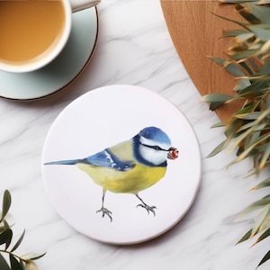 May include: A blue tit with a yellow breast and a blue head is perched on a white background. The bird is holding a red berry in its beak.
