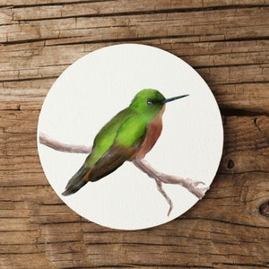 Könnte beinhalten: Ein Aquarellbild eines grünen Kolibris, der auf einem Ast sitzt. Der Vogel hat einen langen, dünnen Schnabel und eine braune Brust.