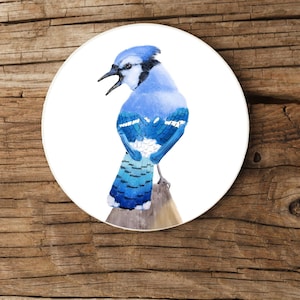 Könnte beinhalten: Ein Blauhäher mit weißem Kopf und schwarzen Markierungen an den Flügeln sitzt auf einem Ast. Der Vogel ist in Aquarelltechnik auf weißem Hintergrund gemalt.