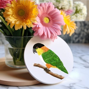 May include: A white round coaster with a hand-painted illustration of a green, yellow, and black parrot perched on a branch.