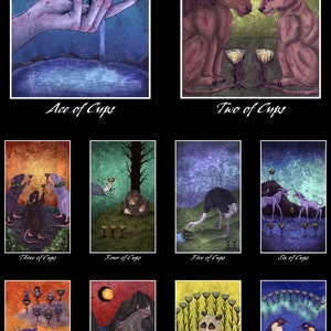 Minor Arcana Cups cards