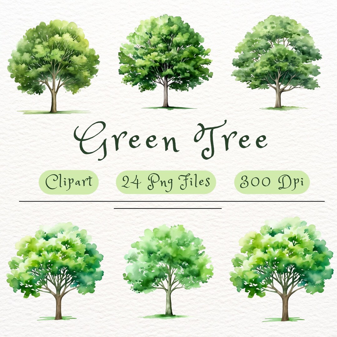 Watercolor Green Trees Clipart 24 Beautiful Green Trees PNG - Etsy