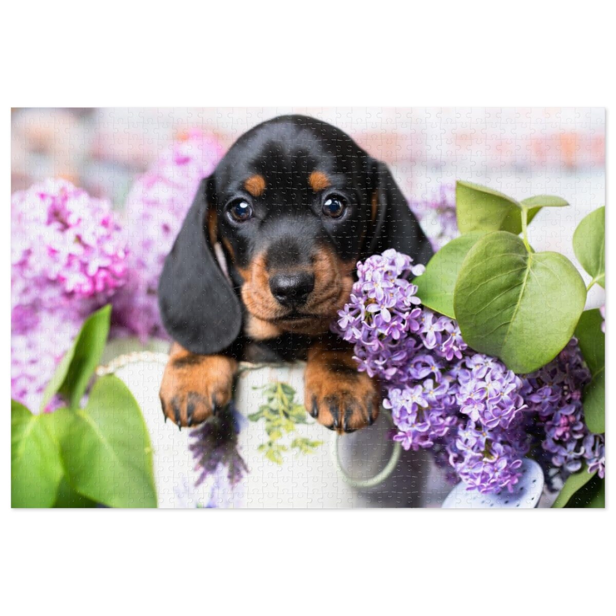 1000 Piece Jigsaw Puzzle For Adults 1000 Piece Dog Jigsaw Puzzle For ...