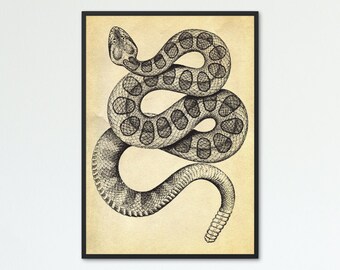 Vintage Rattlesnake Art | Digital Art Print, Printable Poster Art, Witchy Art Print, Vintage Art, Snake Art, Vintage Style Art, Snake Print