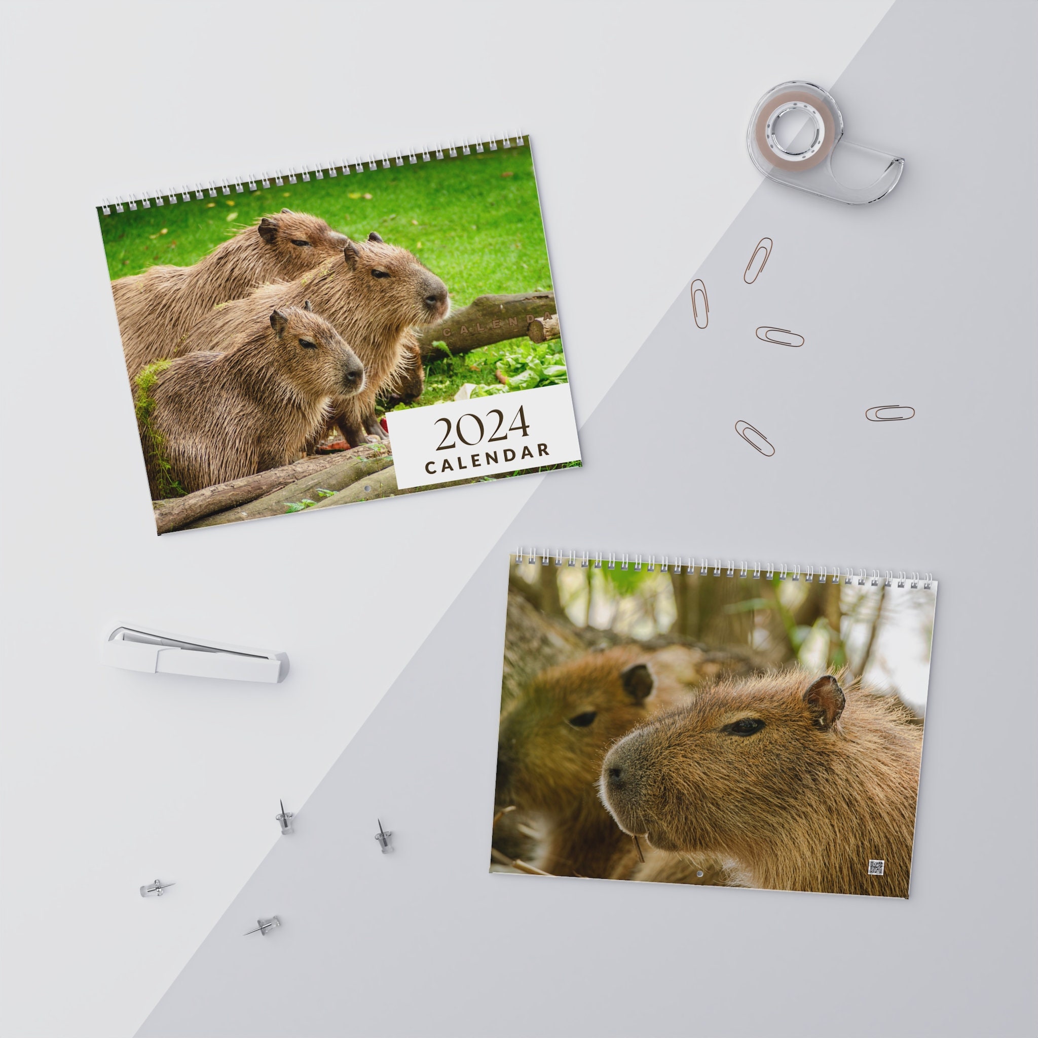 Capybara 2024 Wall Calendar Cute Room Decor Present for Animal Lover