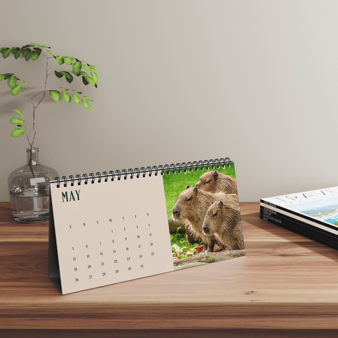 Capybara 2024 Standing Desk Calendar Christmas Gift for Etsy
