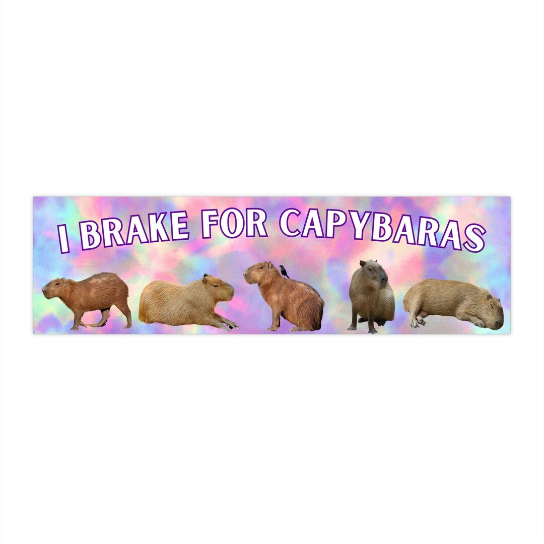 I Brake for Capybaras Bumper Sticker Ok I Pull up Gift for Animal Lover