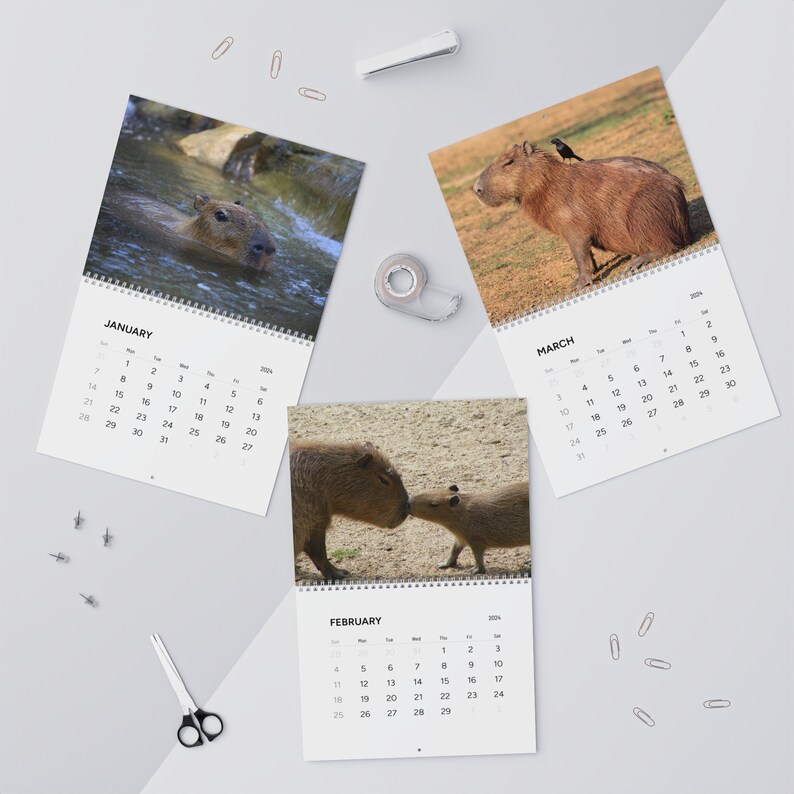 Capybara 2024 Wall Calendar Cute Room Decor Present for Animal Lover