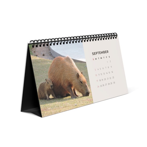 Capybara 23 Standing Desk Calendar Christmas Gift For Etsy
