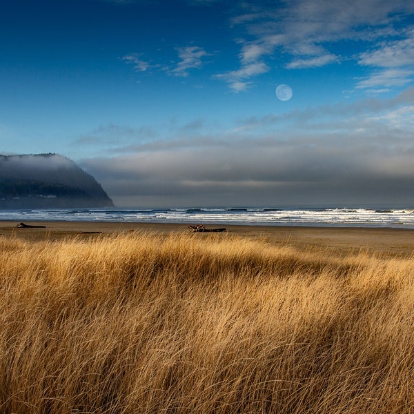 Herbe de plage en bord de mer et ensemble de lever et de lune de Tillamook Head - Bord de mer, Oregon.