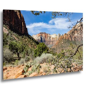Zion National Park Print: Canyon View, Utah