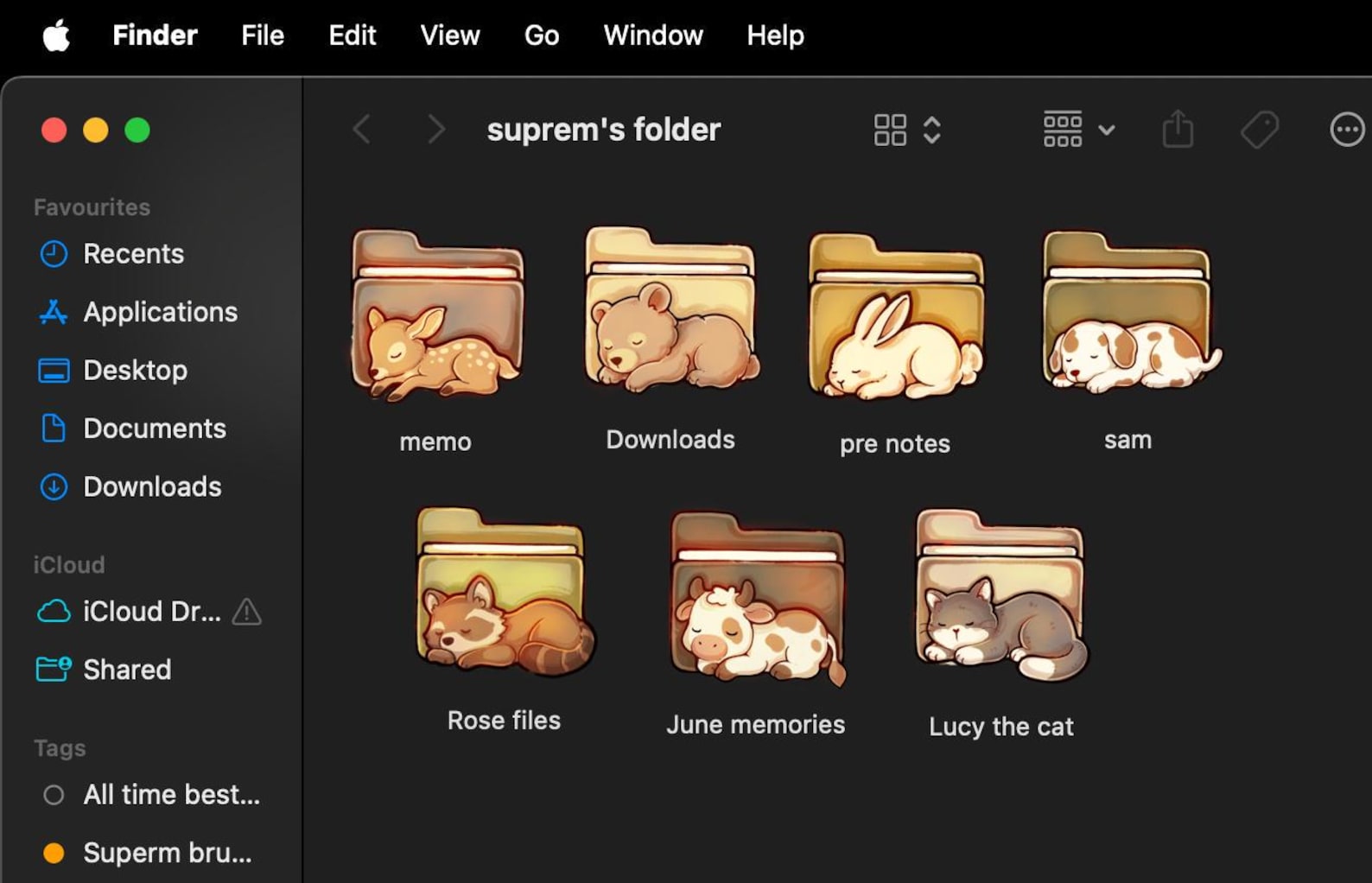 Sleepy Animal Desktop Folder Organizer Icon Set | Cute Hand-drawn ...