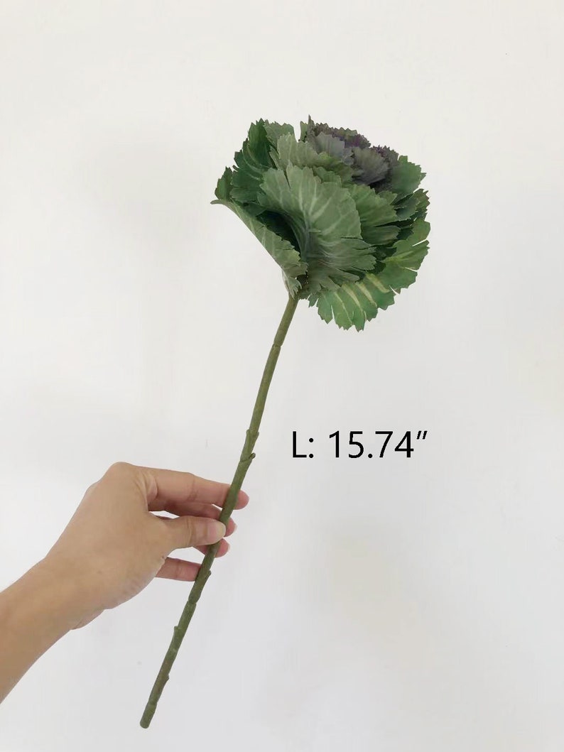 Artificial Kale Stem Fake Cabbage Craft Brassica Oleracea Etsy