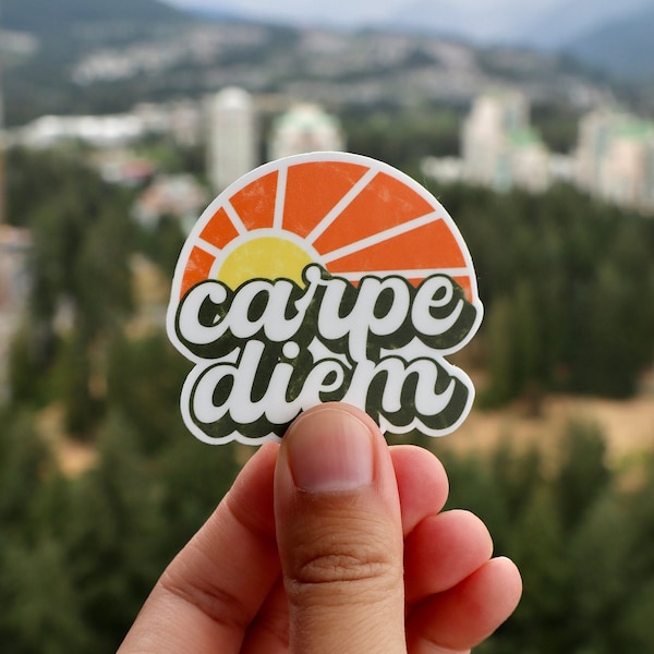 Carpe Diem Vinyl Sticker - yolo, Water Bottle Sticker, Laptop Sticker, Seize the day, Outdoor Sticker