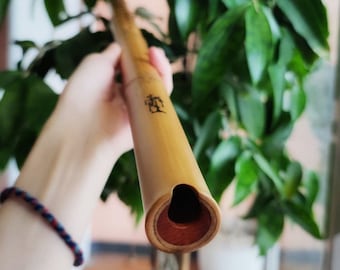 Xiao Flute Northern Bamboo Xiao Flute Gift for Musician Music Gift Flute Instrument - 440Hz Key D C