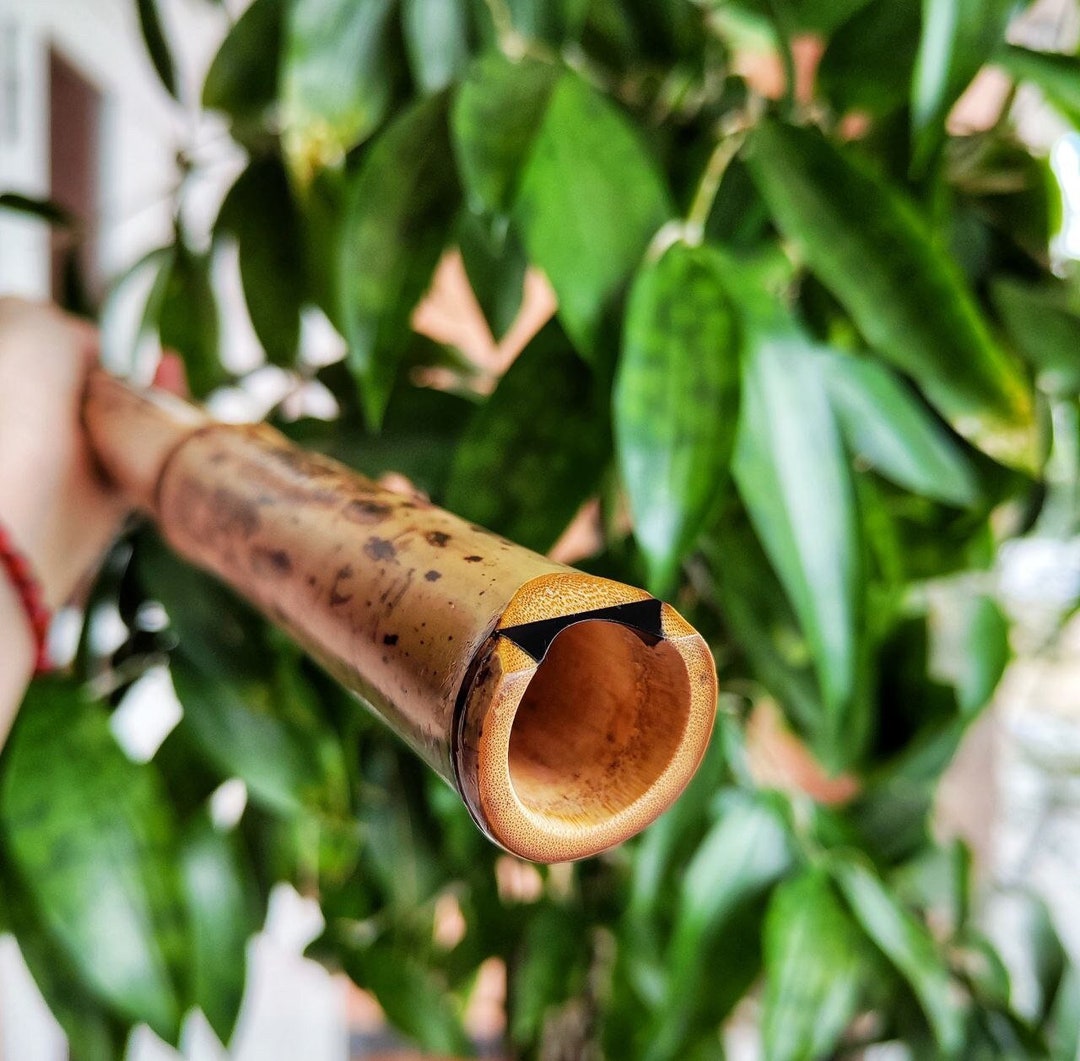 Monty levenson shakuhachi deals