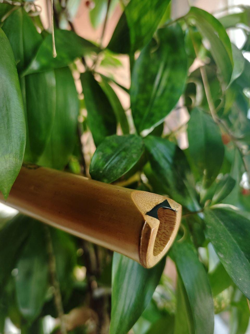 手作りの牧野竹尺八楽器：2.0、8穴、440 Hz - Etsy 日本