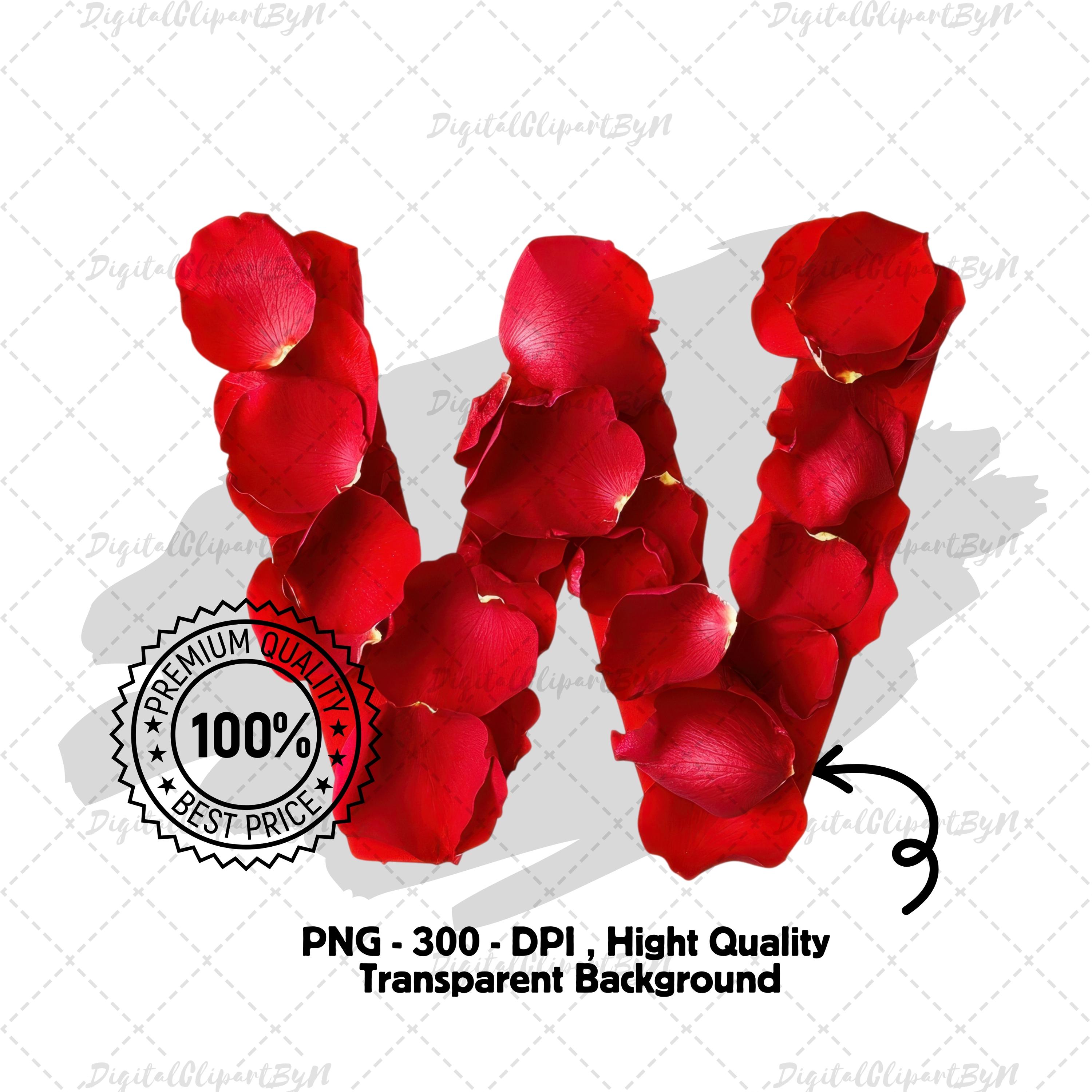 Romantic Red Rose Petal Alphabet Clipart A-Z Letters Numbers 0-9