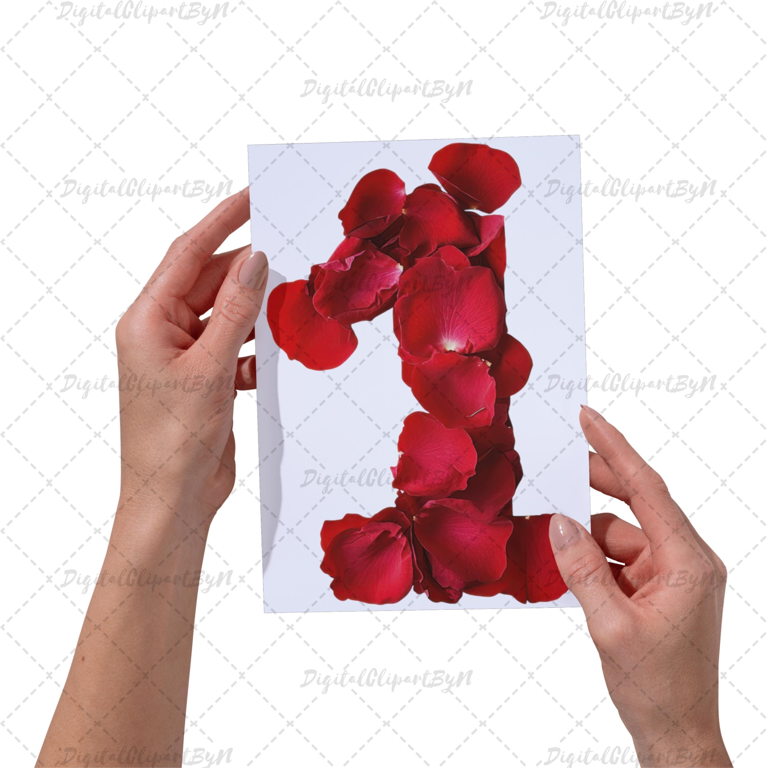 Romantic Red Rose Petal Alphabet Clipart A-Z Letters Numbers 0-9 ...