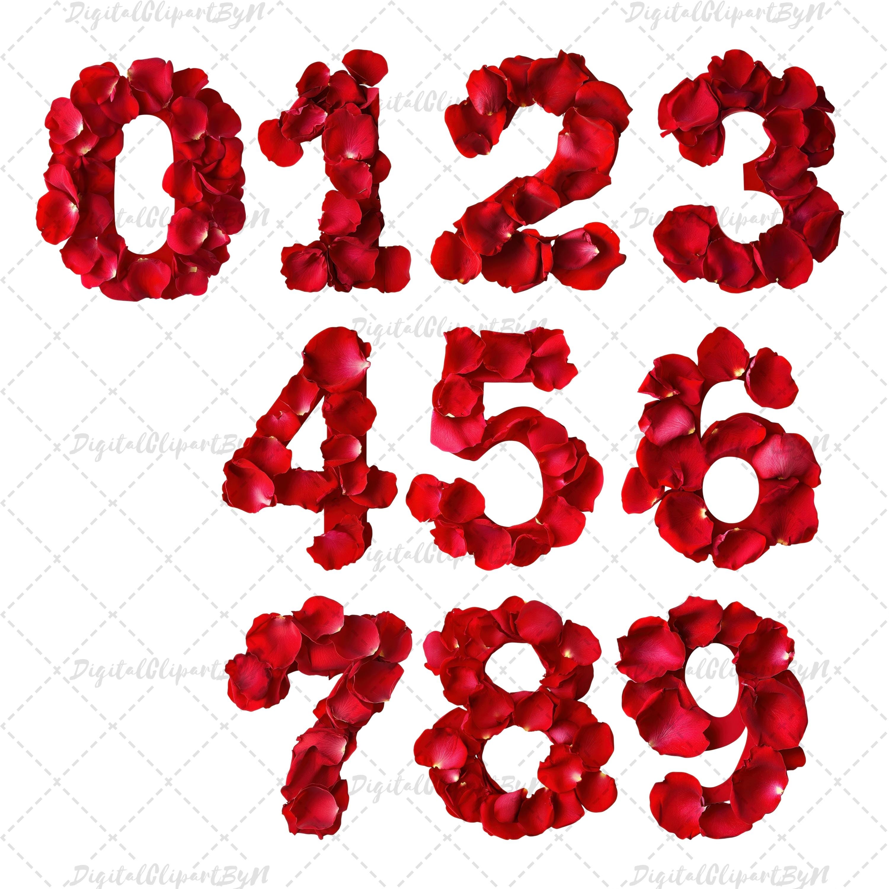 Romantic Red Rose Petal Alphabet Clipart A-Z Letters Numbers 0-9 ...