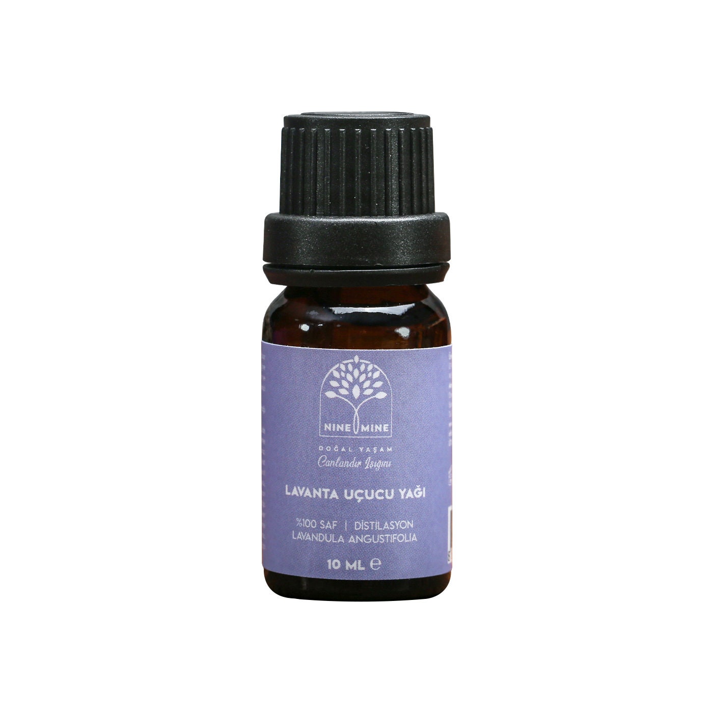 Grosso variety Lavender Essential Oil
