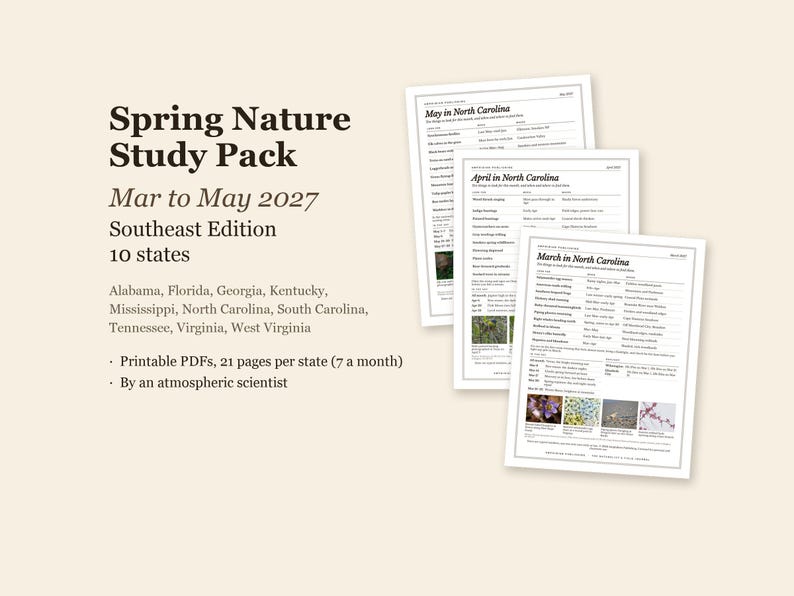 Pu&ograve; includere: Un pacchetto di studio sulla natura primaverile da marzo a maggio 2027, edizione del sud-est, che copre 10 stati. Il set include PDF stampabili con 21 pagine per stato, con guide all'osservazione della natura per Alabama, Florida e altri.