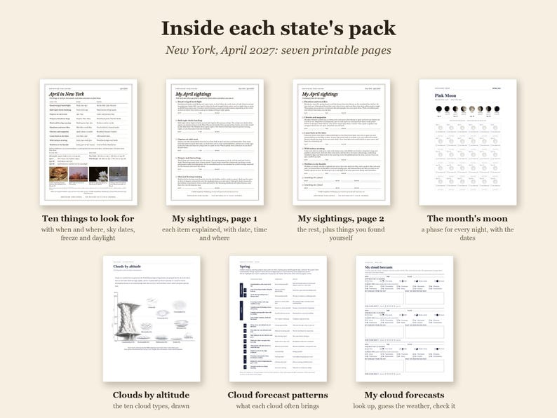 Spring Nature Study Pack, Northeast States, Mar-May 2027 (PDF) image 3