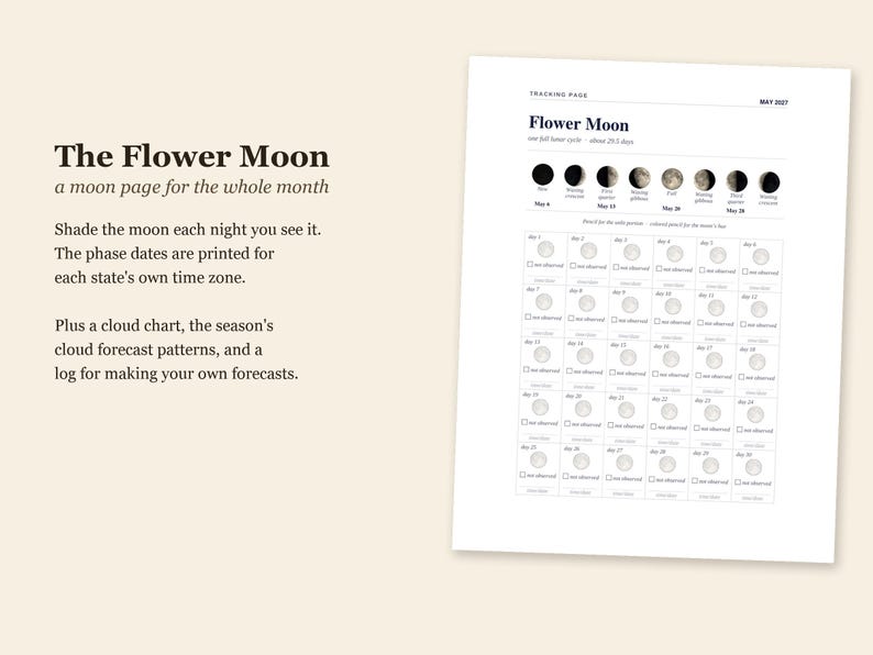May 2027 Nature Study Pack, Southeast, 10 States, Printable PDF (7 pages each) image 4