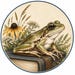 Amphibian Publishing