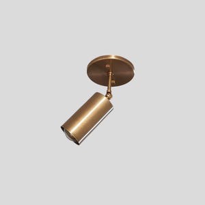 Handcrafted Elegant Brass Spot Light Industrial Style Brass ceiling Light
