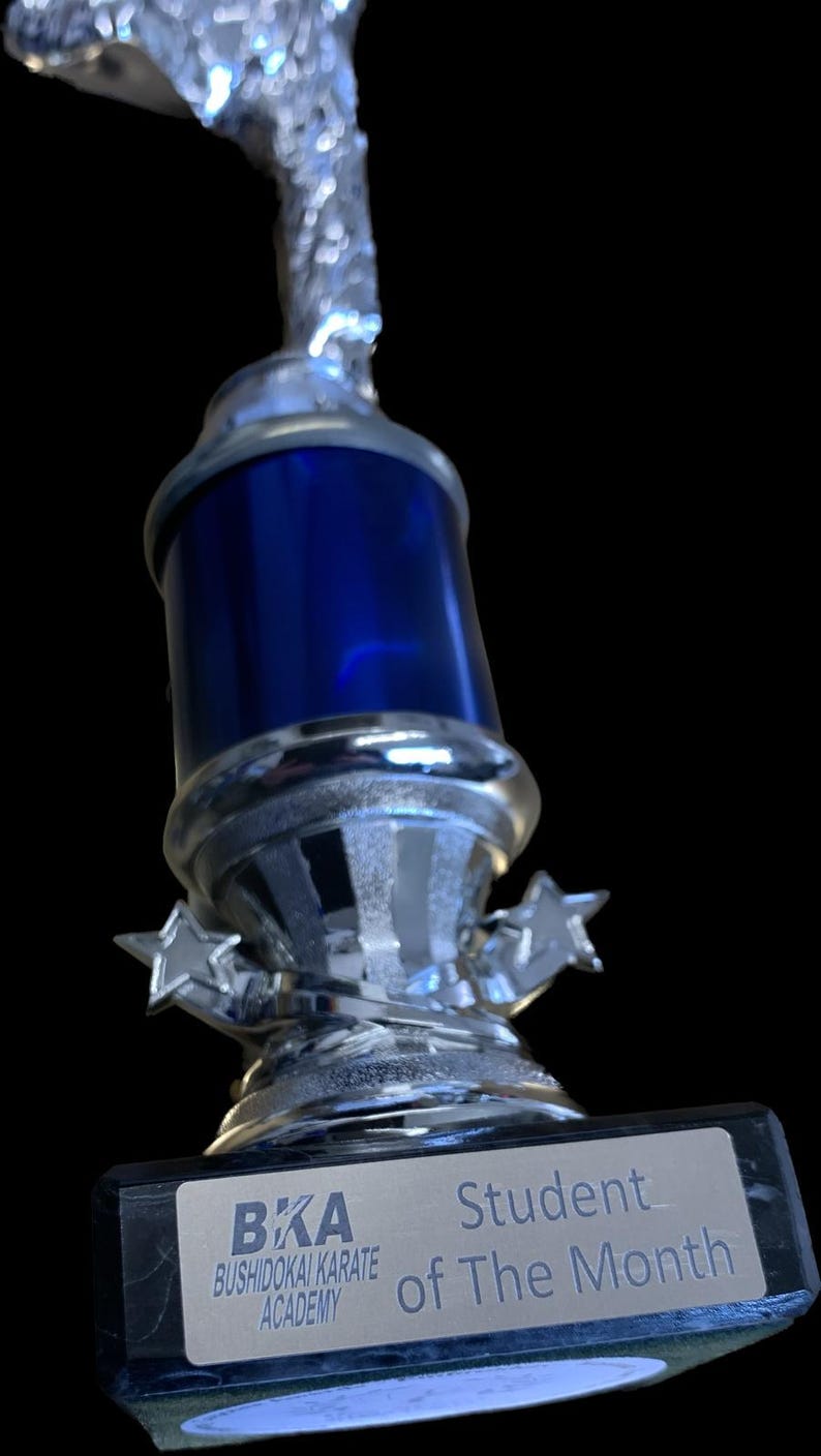 K&ouml;nnte beinhalten: Eine silberne Troph&auml;e mit blauem Mittelteil und Sternakzenten. Der Sockel der Troph&auml;e tr&auml;gt eine Plakette mit der Aufschrift "BKA Bushidokai Karate Academy Student of The Month."