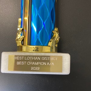 K&ouml;nnte beinhalten: Eine Troph&auml;e mit einer blau gemusterten S&auml;ule und goldenen Akzenten. Der Sockel ist wei&szlig; mit einer goldenen Plakette mit der Aufschrift "WEST LOTHIAN DISTRICT BEST CHAMPION A/A 2022". Die Troph&auml;e ist ein Symbol f&uuml;r Leistung.