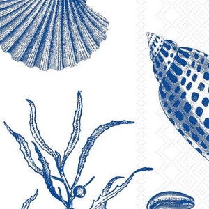 seashell decoupage napkins, 2 guest blue and white shell paper napkins for decoupage mixed media scrapbooking cardmaking and other crafts