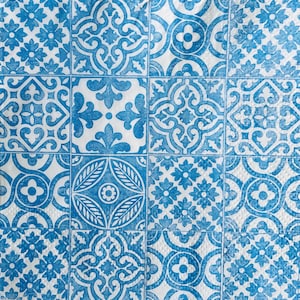 May include: A white background with a blue and white tile pattern. The tiles are arranged in a grid pattern and feature various geometric designs.