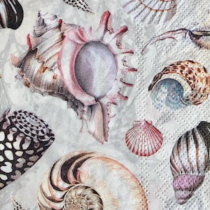 sea shell decoupage, beach shell paper napkins, 2 guest size colorful shell napkins for decoupage mixed media junk journals and many crafts