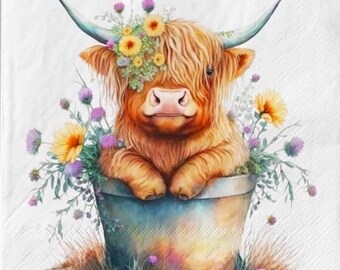 thumbnail image 2 of Scottish Highland Cow Coo Paper Napkins - 20 Pack Of 3-Ply Embossed Theme Party Napkins 2 of 9