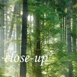 May include: A close-up view of a sunlit forest with tall trees and lush green foliage. The word "close-up" is written in white script across the bottom of the image. The scene is bright and airy.