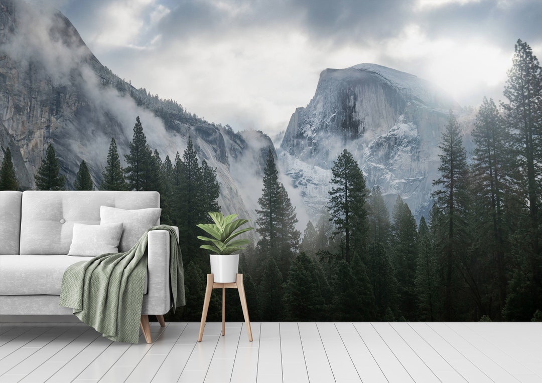 Winter Forest Mountain Landscape Wallpaper - Peel and Stick Wall Mural ...